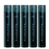 5X Schwarzkopf Silhouette Super Hold Spray 300ml -Haarverzorgings Winkel kap 10xsp155661976 1 1