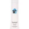 Royal KIS Scalp Cleanditioner 300ml