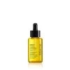 Shu Uemura Essence Absolue Nourishing Soothing Scalp Oil Concentrate 50ml -Haarverzorgings Winkel shu uemura art of hair essence absolue nourishing soothing scalp oil