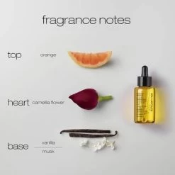 Shu Uemura Essence Absolue Nourishing Soothing Scalp Oil Concentrate 50ml -Haarverzorgings Winkel shu uemura art of hair essence absolue nourishing soothing scalp oil4