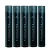 10x Schwarzkopf Silhouette Super Hold Spray 500ml -Haarverzorgings Winkel sp158130911